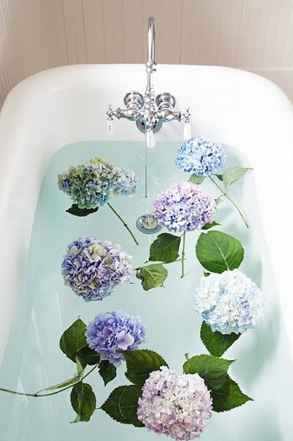 floral inspiration