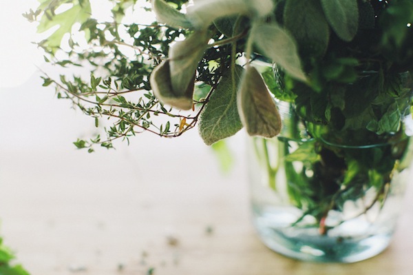 fresh herbs